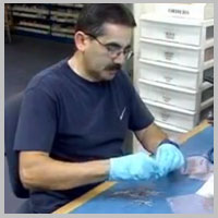 Company Profile Image5